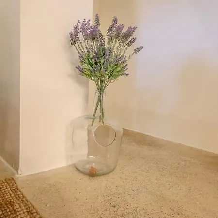 Pepeflats - Eco Mediterranean With Terrace - Bd1 Apartment *